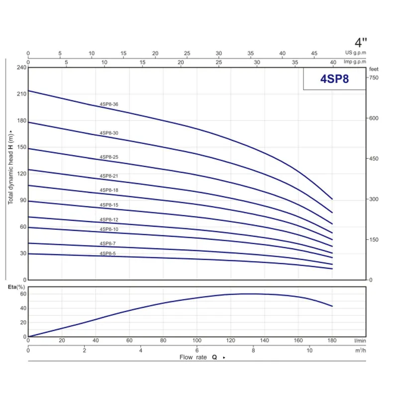 4SP (6)