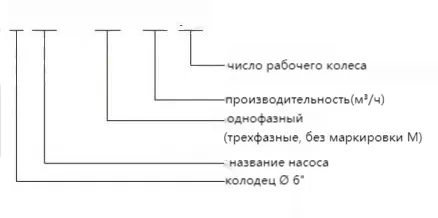 6SD,6SS--(5)
