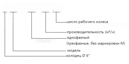 6SP (2)