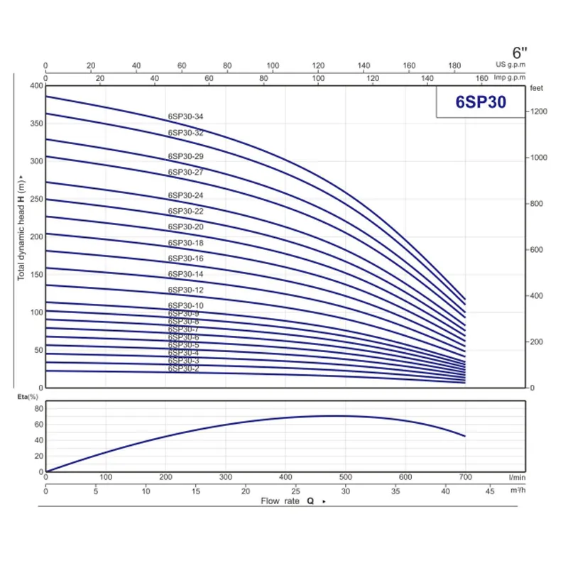 6SP (4)