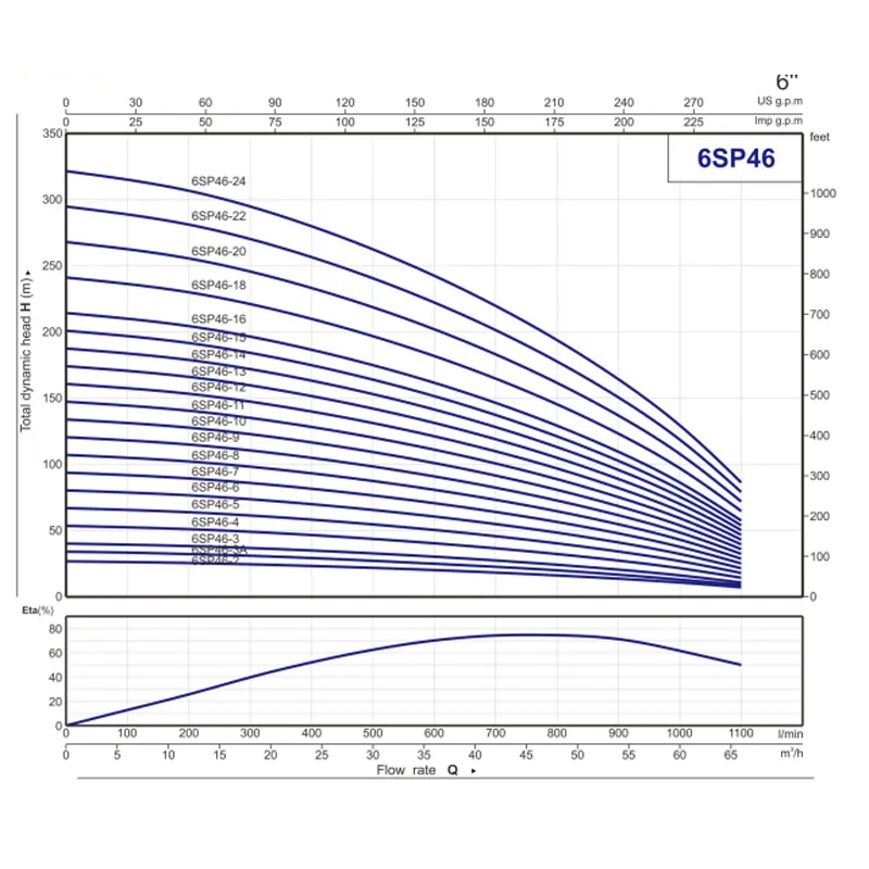 6SP (5)