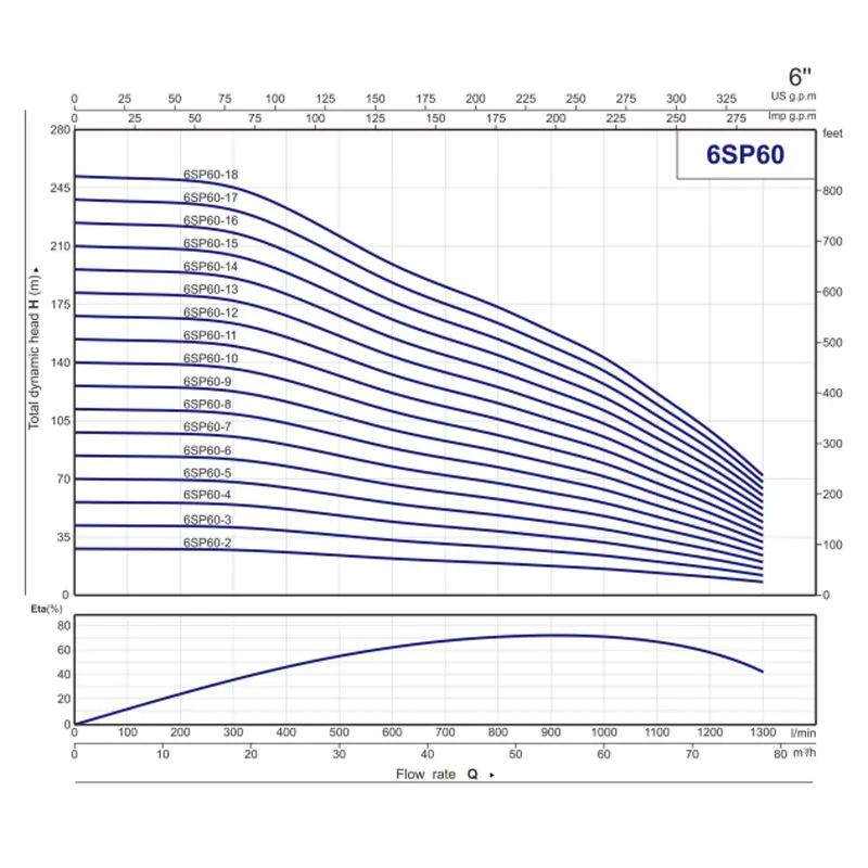 6SP (6)